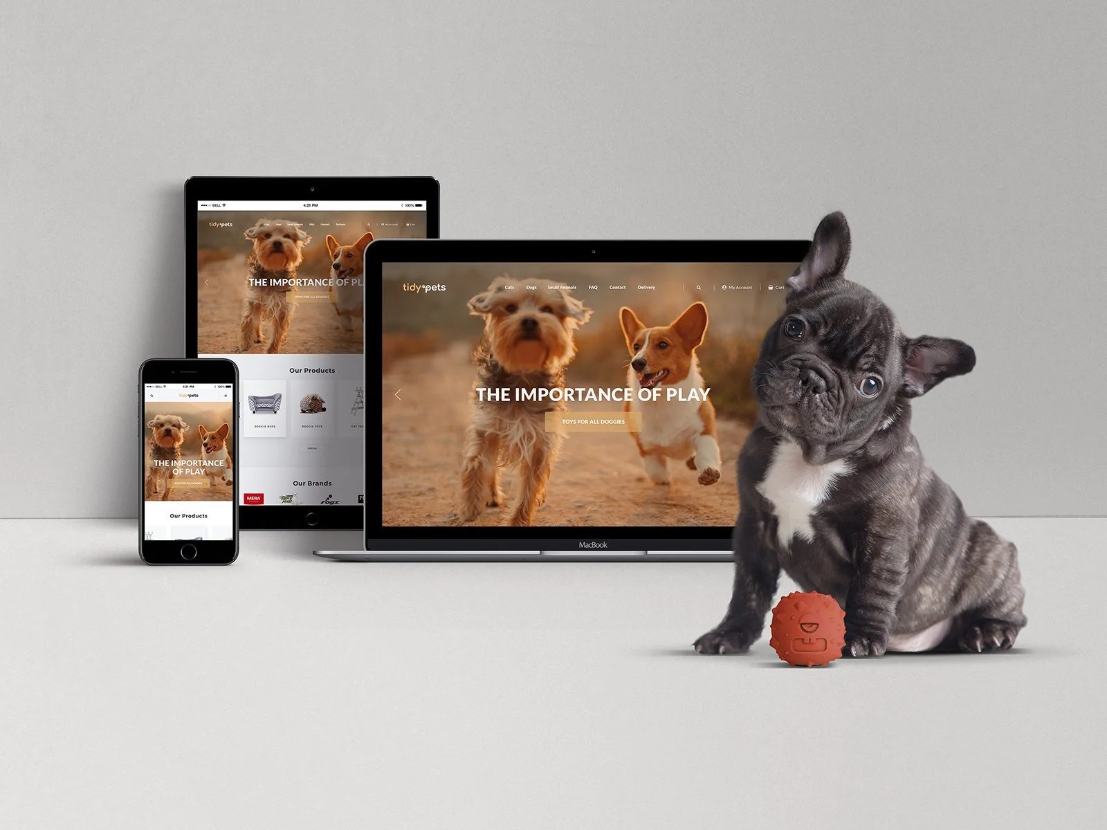 TidyPets Web Design